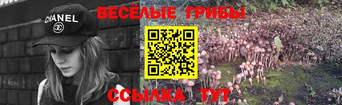 Псилоцибиновые грибы ЛСД  Вход с VPN  Псилоцибиновые грибы Psilocybine cubensis  Медногорск 