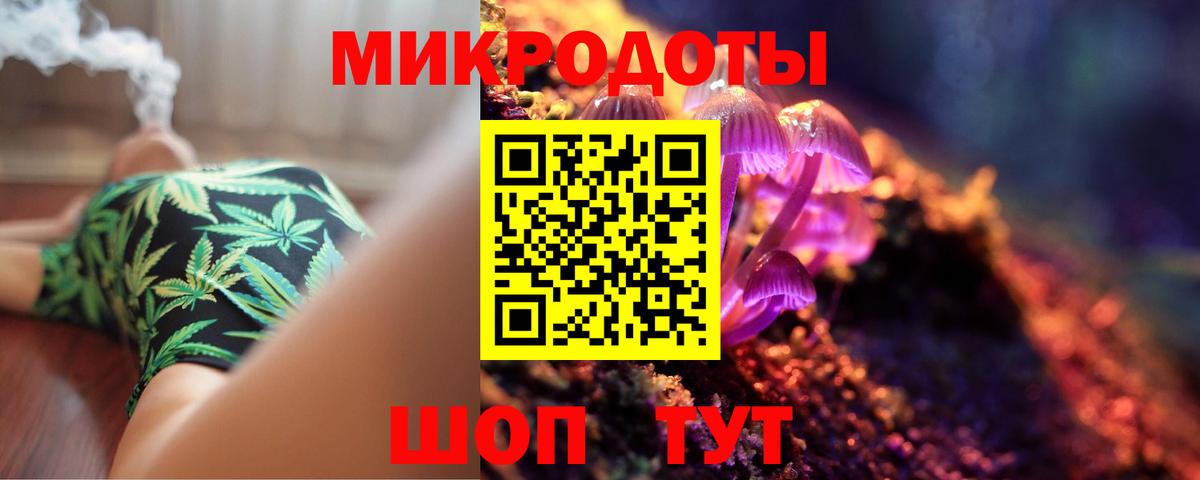 Галлюциногенные грибы Psilocybe Медногорск